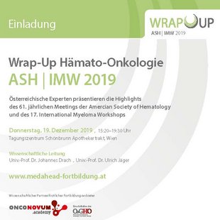 Teaser WrapUp ASH 19